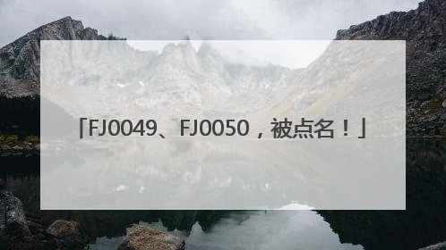 FJ0049、FJ0050，被点名！